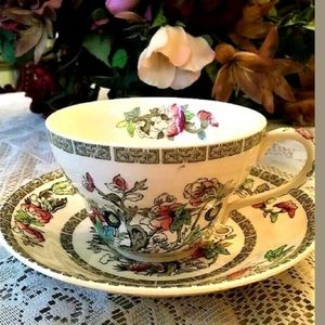 Rare Johnson Brothers Indian Tree Cup & Saucer